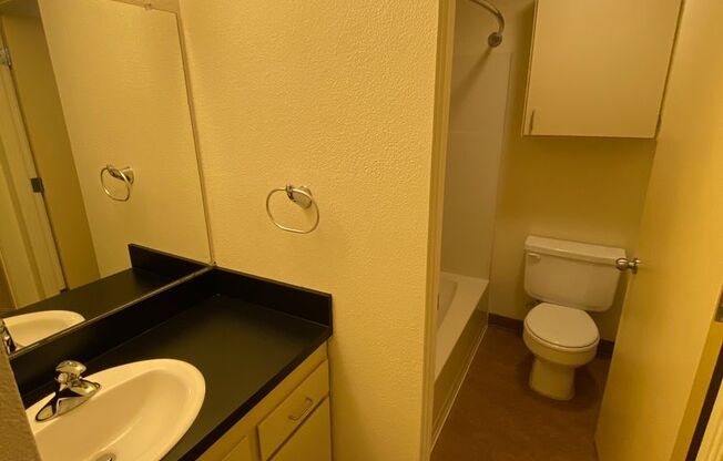 1 bed, 1 bath, 700 sqft, $1,475, Unit 0019