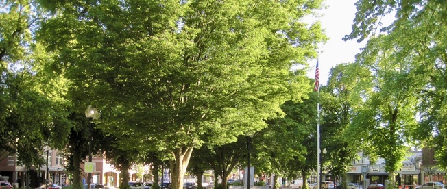 Adams Park in Roslindale