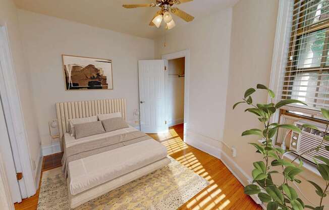 A bedroom with a bed, a ceiling fan, and a plant.