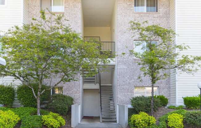 Vista Highlands Breezeway Trees