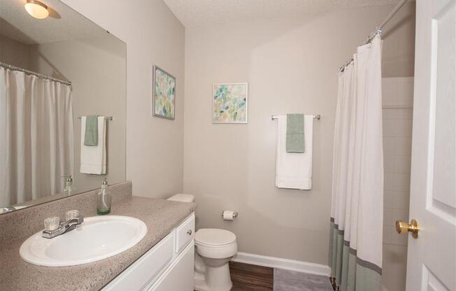 Full size bathroom space