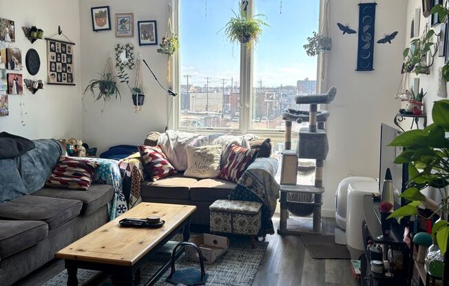 2559 Amber - Residential