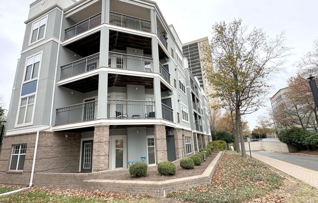 2 beds, 2 baths, $2,595, Unit Unit 204