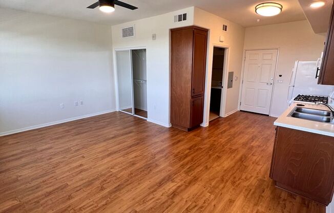 Studio, 1 bath, 418 sqft, $1,350, Unit 1301-315