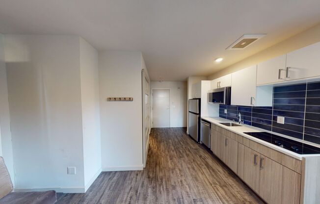 Studio, 1 bath, 244 sqft, $1,233, Unit 304