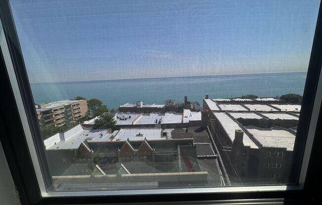 2 beds, 1 bath, 1,000 sqft, $2,350, Unit 1003