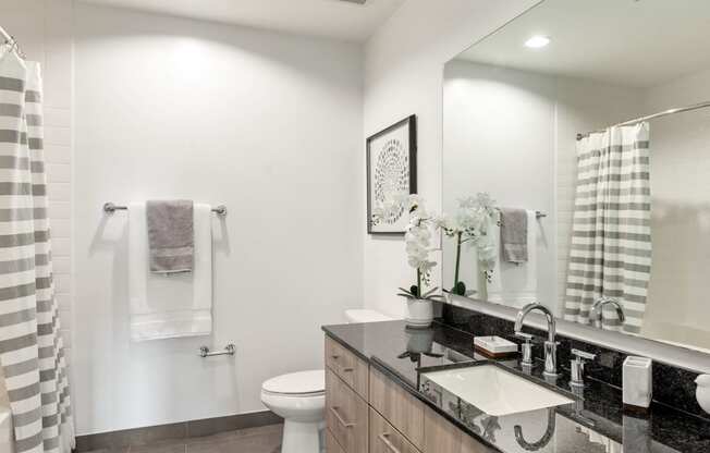 a bathroom with a sink and a toilet and a mirror