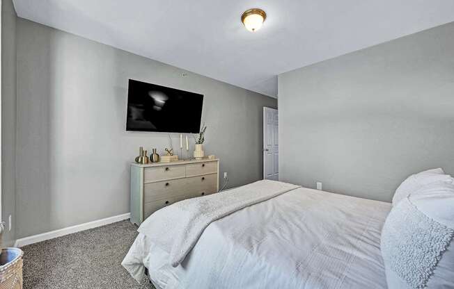 Bedroom with Plush Carpeting