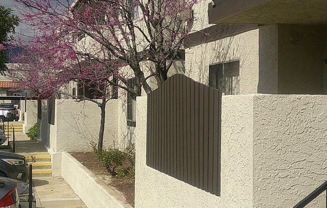 19550 E CIENEGA AVE