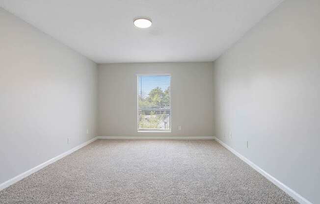 A room with a carpeted floor and a window with blinds.