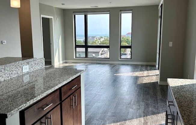 1 bed, 1 bath, 1,056 sqft, $1,900, Unit 410