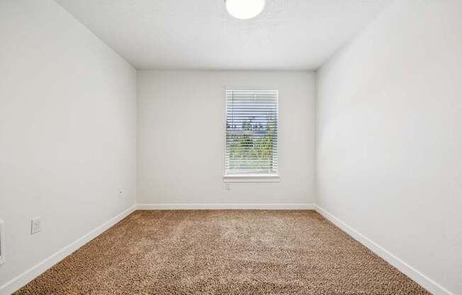 A room with a carpeted floor and a window with blinds.