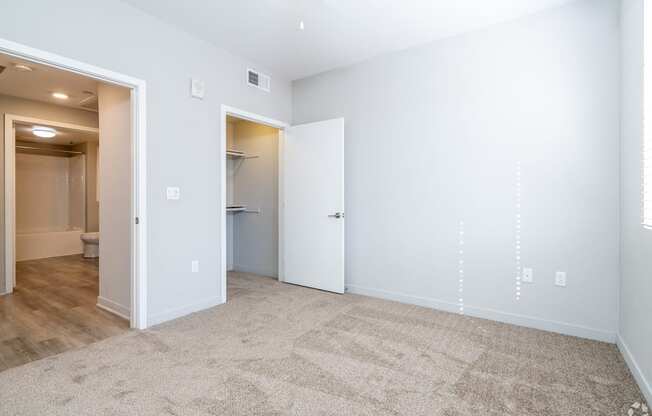 A room with a carpeted floor and a closet.