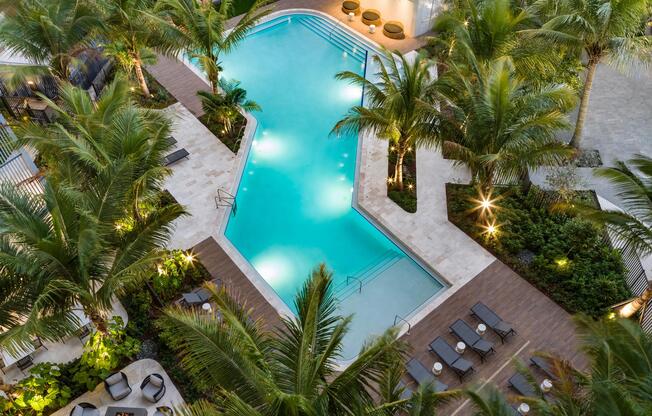 Palm-lined pool design with sculpted lines, layered lighting, and warm wood decking shaping a resort-inspired courtyard.