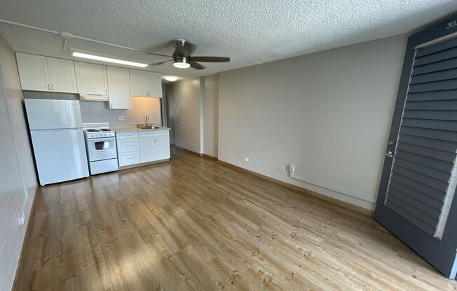1 bed, 1 bath, 420 sqft, $1,368, Unit 307