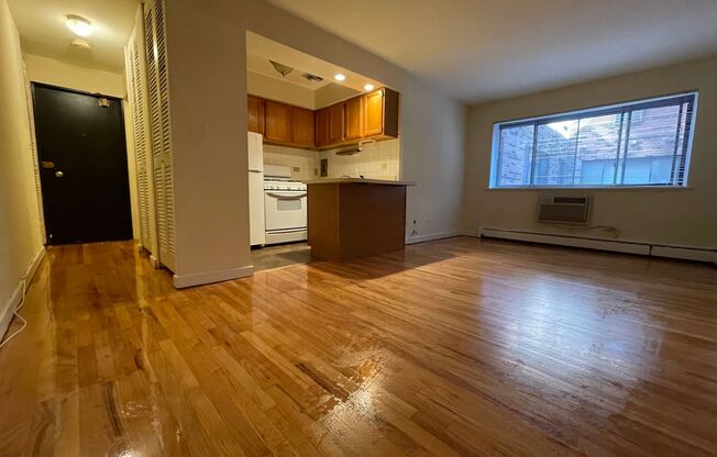 Studio, 1 bath, 400 sqft, $1,450, Unit 421-#411