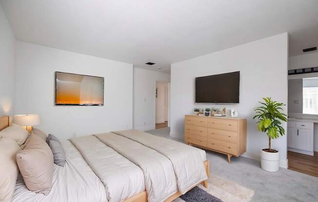A bedroom with a large bed, a dresser, and a plant.