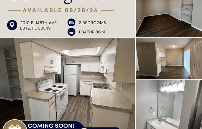 Uptown Apartments & Townhomes | Lutz, FL
