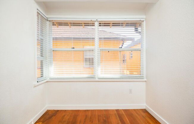 Studio, 1 bath, 518 sqft, $1,515, Unit 204