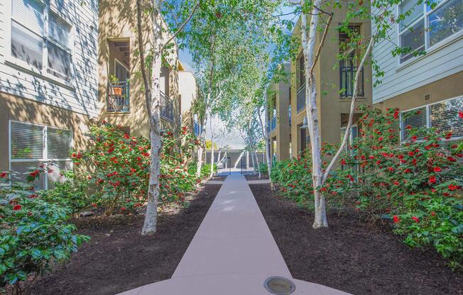 Pathway lined with blooming red flowers on both sides, leading towards a pool area. Surrounding the walkway are trees and well-maintained foliage, set in a residential complex with modern buildings in the background under a clear blue sky.