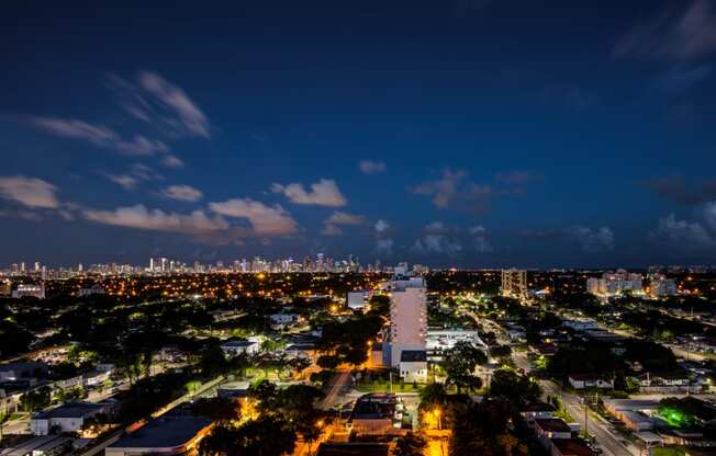 Miami Views