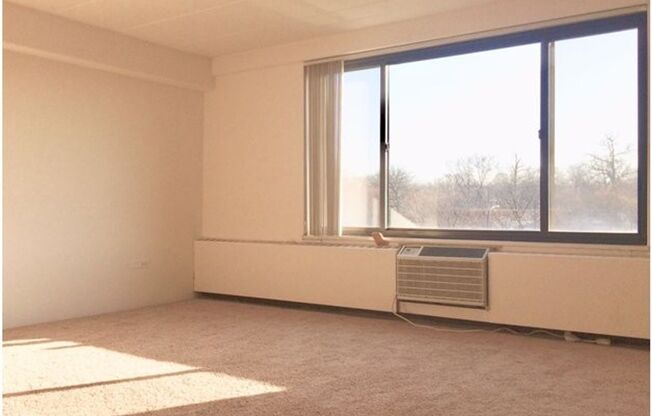 Studio, 1 bath, 430 sqft, $1,170, Unit 104