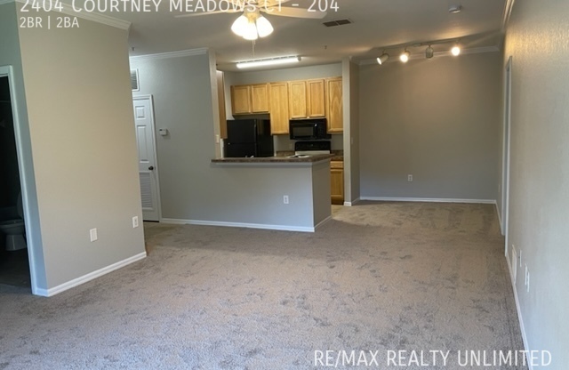 2404 COURTNEY MDWS CT