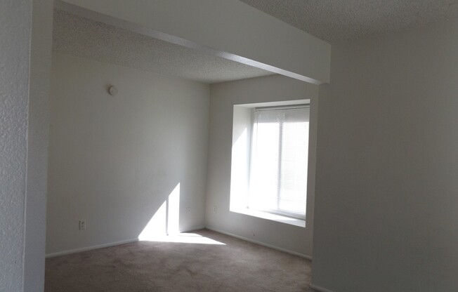 2 beds, 1 bath, $1,300