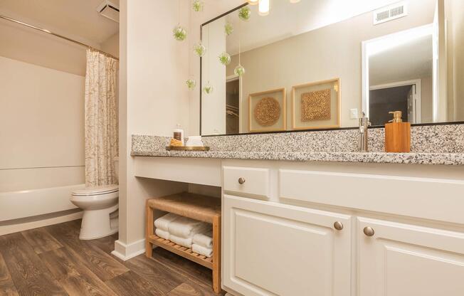Modern Bathroom in Ansley A at Madison Landing at Research Park Apartments in Madison, AL
