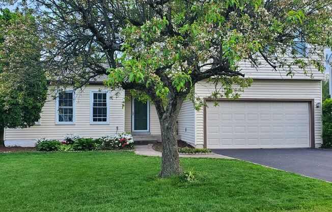 Spacious Home with Great Amenities minutes from NRO, Dulles