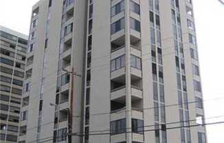 Newly Renovated! Punahou Area