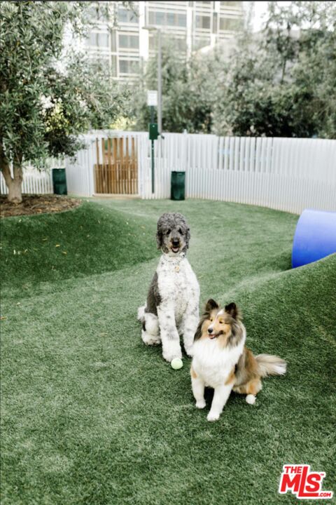 Studio, 1 bath, 480 sqft, $2,500, Unit 2305