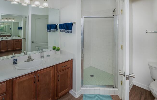a bathroom with a shower and a sink and a mirror