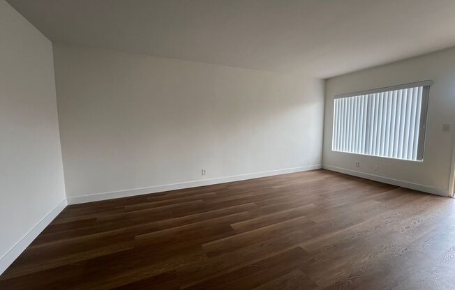 Spacious Studio - Renovated - Parking Available!