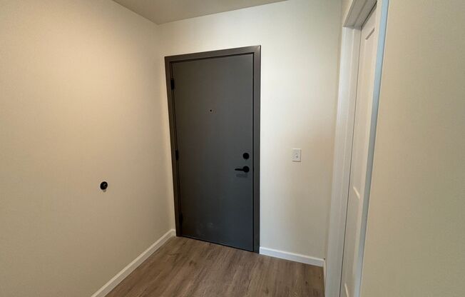 Studio, 1 bath, 398 sqft, $1,250, Unit 205