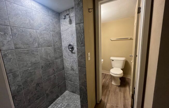 Studio, 1 bath, 350 sqft, $850