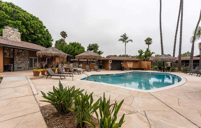 a swimming pool with chaise lounge chairs and palm trees in the background