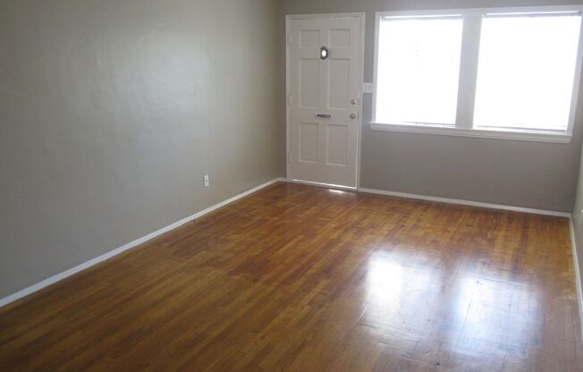 Spacious, Downstairs - 1 Bedroom / 1 Bathroom!