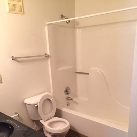 a bathroom with a toilet and a bathtub