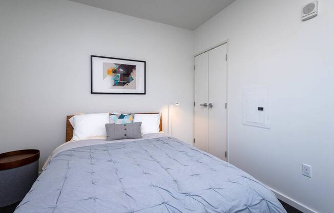 a bedroom with a bed and a closet