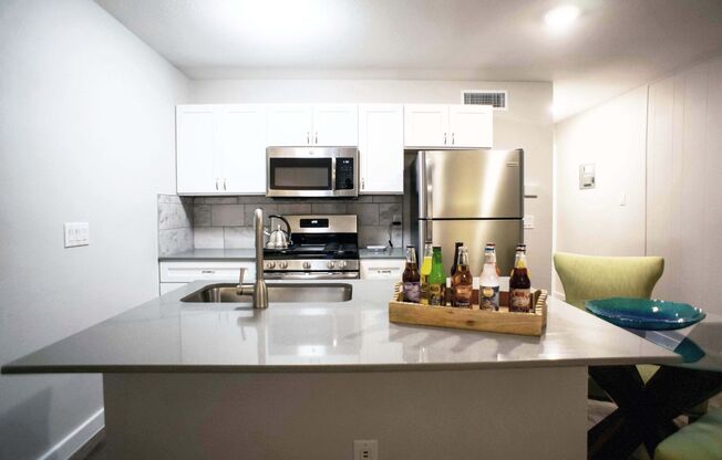 1 bed, 1 bath, 495 sqft, $1,100, Unit 101