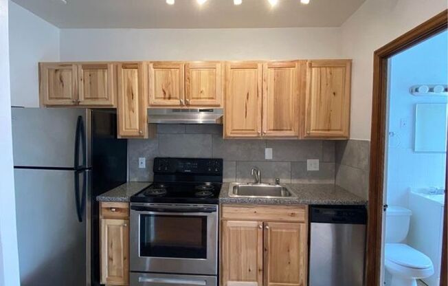 Studio, 1 bath, $859, Unit 203