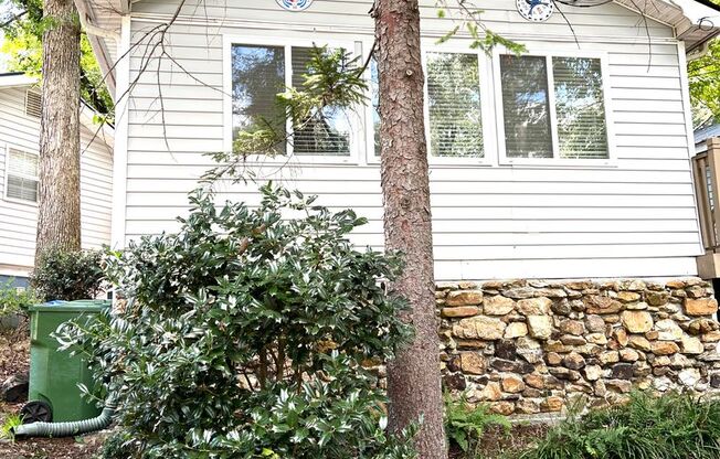 1 Bedroom cottage, great Asheville location!