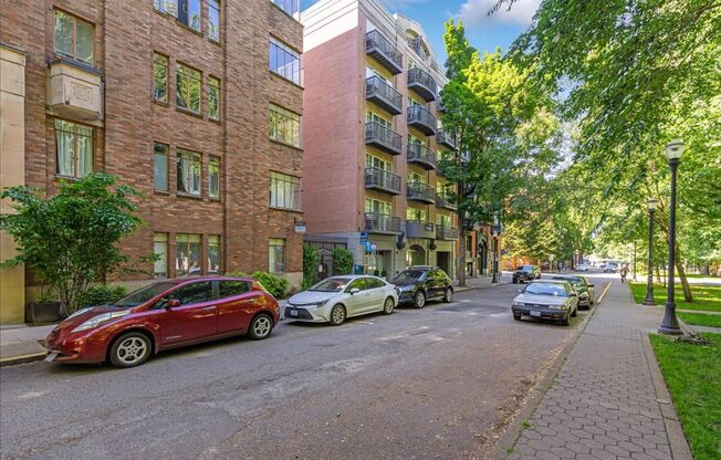 1 bed, 1 bath, 491 sqft, $1,250, Unit 501