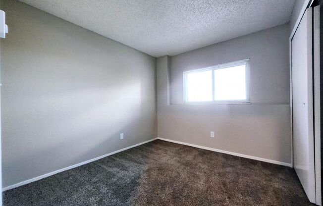 2922 STRAUS LANE