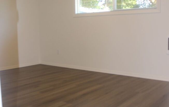 3 Bed 1 bath Hillsboro Ranch