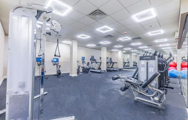 Studio, 1 bath, 325 sqft, $2,200, Unit 311