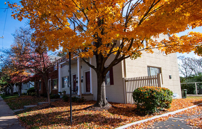 Brookville Townhomes Fall Colors Photo