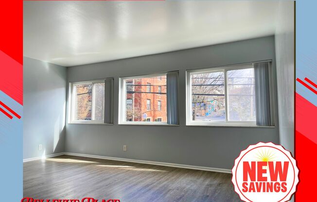 Studio, 1 bath, 350 sqft, $1,250, Unit 205