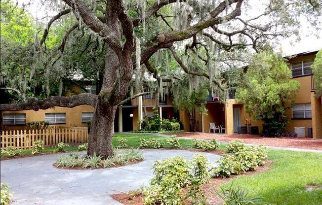 a courtyard with a tree and a building in the background